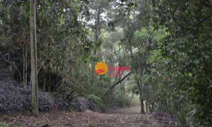 Terreno em local bastante arborizado, ideal para loteamento ou condomínio horizontal, 202.000 m², R$ 1.780.000,00 - Vila Progresso - Niterói/RJ