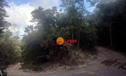 Ótima área plana, em meio à muito verde, 6210 m², R$ 680.000,00 - Rio do Ouro - Niterói/RJ