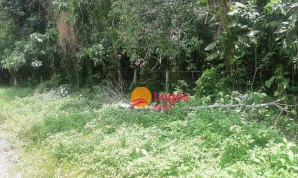 Terreno à venda, 2460 m² por R$ 420.000,00 - Várzea das Moças - Niterói/RJ