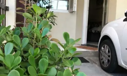 Apartamento com 2 quartos à venda na Zona Nova, Tramandaí 