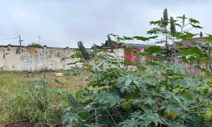 Terreno à venda na Rua Pedro Barbieri, Parque São Sebastião, Ribeirão Preto