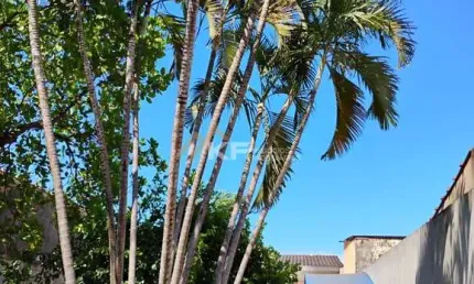 Casa à Venda no bairro Parque Ribeirão Preto - Ribeirão Preto / SP