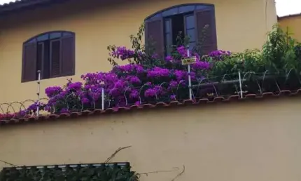 Casa com 2 quartos à venda no Suarão, Itanhaém 