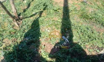 Terreno à venda, 300 m² por R$ 150.000,00 - Jardim São Judas Tadeu - Campinas/SP