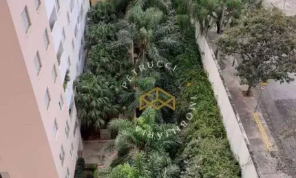 Apartamento Residencial à venda, Jardim Dom Vieira, Campinas - AP6717.