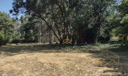 Área Residencial à venda, Sítio Recreio dos Cafezais, Valinhos - AR0252.