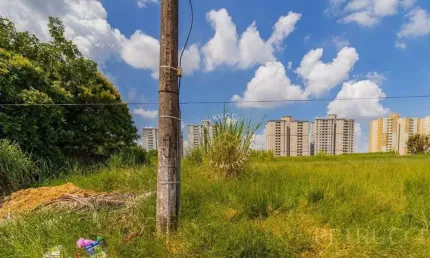 Terreno residencial à venda, jardim dos calegaris, paulínia - te3659.