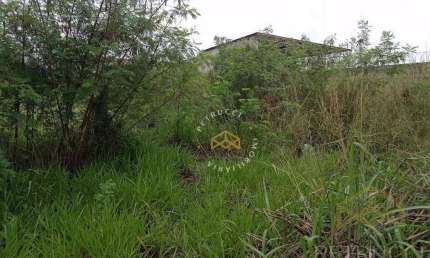 Terreno Residencial à venda, Cidade Universitária, Campinas - TE3763.