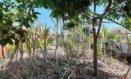 Terreno Comercial à venda, Jardim Amanda II, Hortolândia - TE3856.