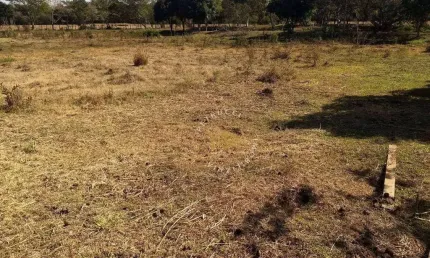 CHÁCARA COM 6 MIL M² COM TANQUE DE PEIXE, TERRENO PLAINO EM ARTUR NOGUEIRA-SP