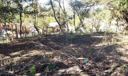 Terreno Residencial à venda, Chácara Santa Margarida, Campinas - TE4310.