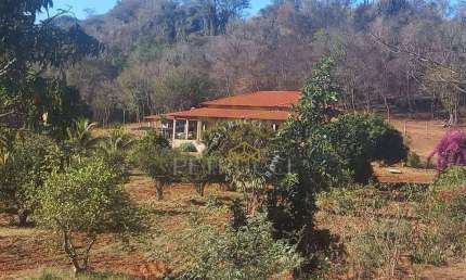 Sítio com 3 dormitórios à venda, 55000 m² por R$ 2.200.000,00 - Centro - Porto Feliz/SP