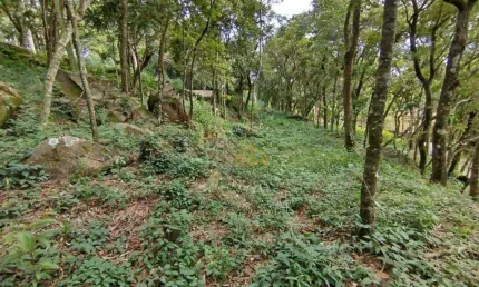 Terreno à venda, 1925 m²  - condomínio nova suiça - valinhos/sp
