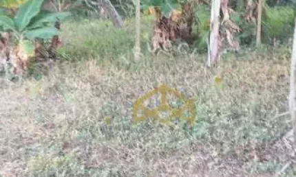 Terreno à venda na Rua Felisbina Corazzari Matheus, 410, João XXIII, Vinhedo
