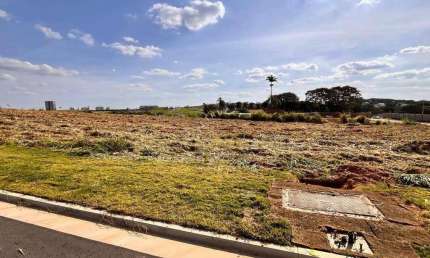 Terreno à venda, 412 m² por R$ 1.050.000,00 - Loteamento Alphaville Campinas - Campinas/SP
