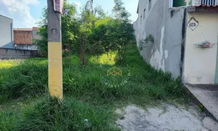 Terreno à venda, 250 m² - Jardim Novo Maracanã - Campinas/SP