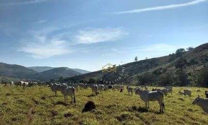 Fazenda com 3 dormitórios à venda, 1155200 m² por r$ 5.500.000,00 - fazenda cachoeira - ilicínea/mg