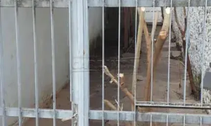 Ponto comercial para alugar na Rua Sete De Setembro, Salão Lateral Fundos, 2067, Centro, São Carlos