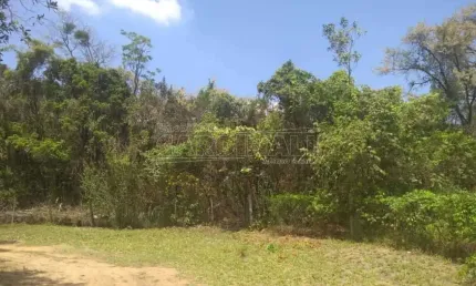 Fazenda à venda na Rua Um, 19, Encontro Valparaíso II, São Carlos