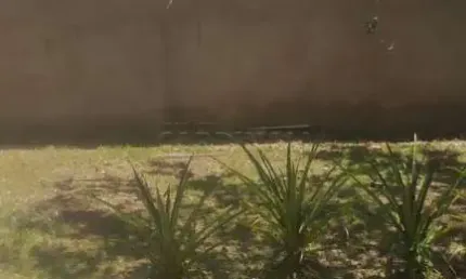 Fazenda à venda na Rua Pardal, Lagoa Dourada, 104, Área Rural de São Carlos, São Carlos