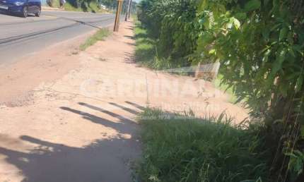 Fazenda à venda na Estrada Municipal Domingos Zanota, Entre Ipê Mirim E Zavaglia, 285, Residencial Deputado José Zavaglia, São Carlos