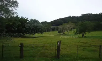 Fazenda à venda na Rua Buracao - Mataozinho / Estrada Boiadeira Ribeirao Bonito - Dourado, Rua Buracao - Mataozinho / Estrada Boiadeira Ribeirao Bonito - Dourado, Zona Rural, Dourado