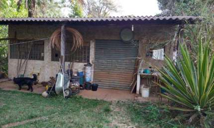 Fazenda à venda na Rodovia Thales De Lorena Peixoto Junior, Chácara 63, 242, Encontro Valparaíso I, São Carlos