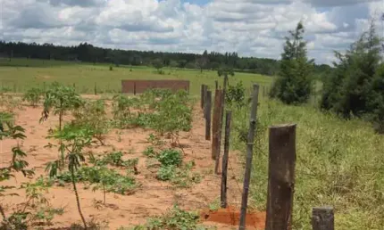 Fazenda à venda na Rua D, Rua D, Zona Rural, Ribeirão Bonito