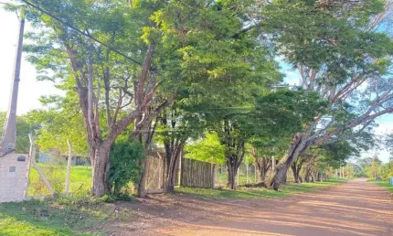 Fazenda à venda na Alameda dos Manacás da Serra, Vale Santa Felicidade, São Carlos