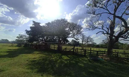 Fazenda à venda na Rua Homero Cardoso De Toledo, ÁRea B1 B, Loteamento Tutoya do Vale, São Carlos
