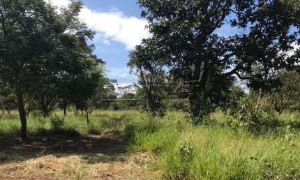 Fazenda à venda na Alameda das Sibipirunas, Vale Santa Felicidade, São Carlos