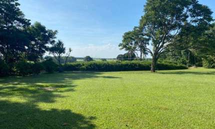 Fazenda à venda na Sítio Santo Antonio Da Felicidade, Divisa Com Fazenda São Luis, Zona Rural, Dourado