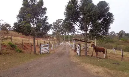 Fazenda à venda na Avenida Capitão Luiz Brandão, Gleba A, Jardim Santa Maria II, São Carlos