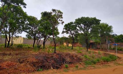 Fazenda à venda na Rua Siriema, Rua Siriema, S/n, Área Rural de São Carlos, São Carlos