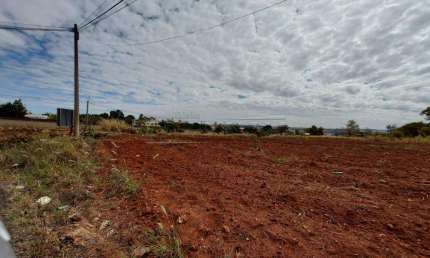 Terreno comercial à venda na Avenida Engenheiro Camilo Dinucci, s/n, Jardim Arco-Íris, Araraquara