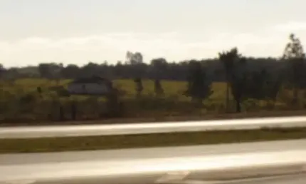 Fazenda à venda na Rodovia Washington Luiz, Km 232, Área Rural de São Carlos, São Carlos
