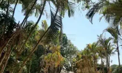 Chácara / sítio à venda na Rua Lina Fabrri Caron (Cond T S Fernando Ii), 300, Tibaia de São Fernando II, São Carlos