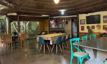 Casa com 4 quartos para alugar na Rua Padre Teixeira, 958, Centro, São Carlos