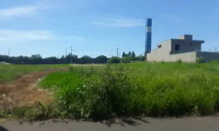 Terreno de 299,20m² à Venda no Jequitibá: R$169.600,00 - Aceita Financiamento