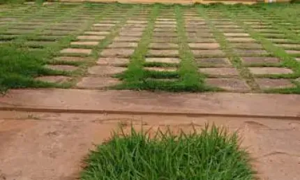 Fazenda à venda na Rua Paulo Tardivo, 20, Centro, Brotas