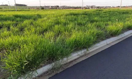 Terreno à venda na Rua Miguel Petrucelli, 1, S/N, Jardins do Porto, São Carlos