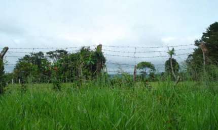 Barracão / Galpão / Depósito à venda na Rodovia Luís Augusto De Oliveira, Lote 30 Quadra A, Área Rural de São Carlos, São Carlos