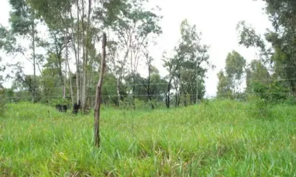 Barracão / Galpão / Depósito à venda na Rodovia Luís Augusto De Oliveira, Lote 39 E 41 Quadra A, Área Rural de São Carlos, São Carlos