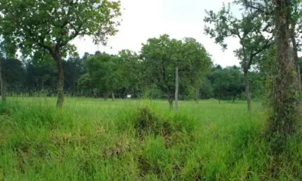 Barracão / Galpão / Depósito à venda na Rodovia Luís Augusto De Oliveira, Sp 215   Lote 57/58/59 Quadra A, Área Rural de São Carlos, São Carlos