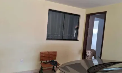 Casa com 3 quartos à venda na Rua Rocha Pombo, 261, Vila Monteiro (Gleba I), São Carlos