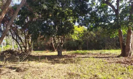 Fazenda à venda na Alameda Dos Tucanos, 10, Estância Balneária Concórdia, São Carlos