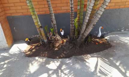Casa com 2 quartos à venda na Rua Fagundes Varella, Esquina Com A Rua Jos´e Albuquerque Vaz Granjo, 407, Vila Marcelino, São Carlos
