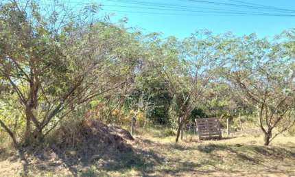 Terreno à venda na Rua Antônio Pedrazani, s/n, Loteamento Aracê de Santo Antonio I, São Carlos