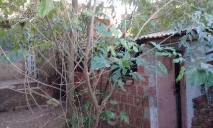 Casa com 2 quartos à venda na Rua Francisco Fiorentino, 898, Vila Boa Vista, São Carlos