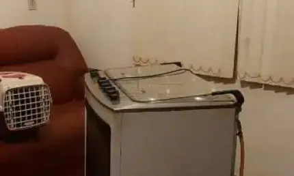 Casa com 2 quartos à venda na Rua Bento Amadeu Malavolta, 266, Jardim Roberto Selmi Dei, Araraquara